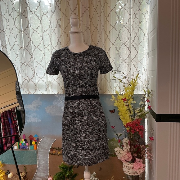 Elegant Black and White Pencil Skirt - Picture 1 of 6